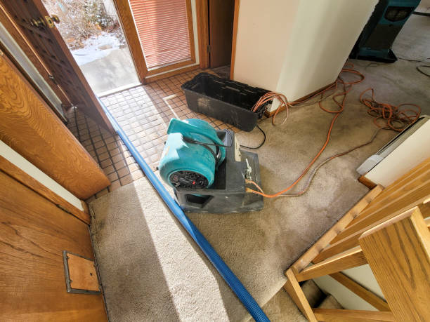 Best Flood restoration services  in Baden, MD