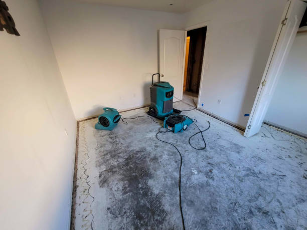 Best Flood damage cleanup  in Baden, MD