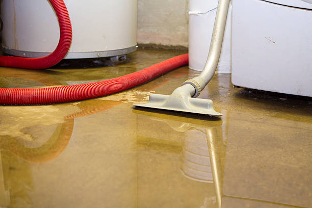 Best Carpet water damage restoration  in Baden, MD