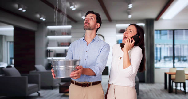Best Mold removal after water damage  in Baden, MD